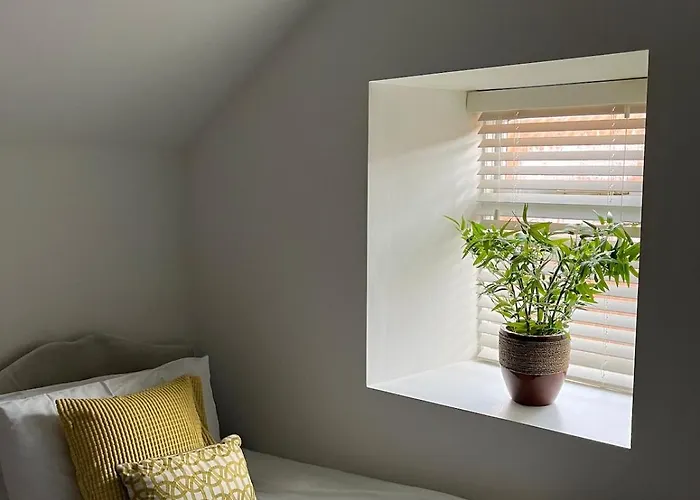 1800's Cosy In Dungarvan Balnacart