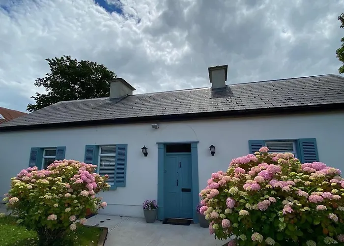 1800's Cosy In Dungarvan Hébergement de vacances